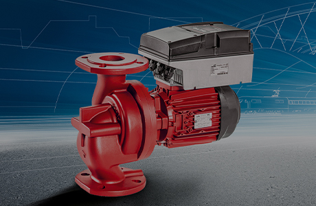 Сертификат кредитного рейтинга [уровень AAA]